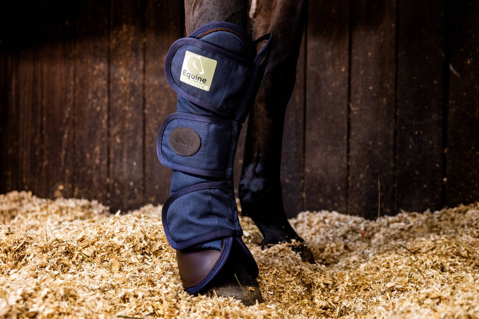 Ein Pferd wird mit der Equine Balance Gamasche therapiert